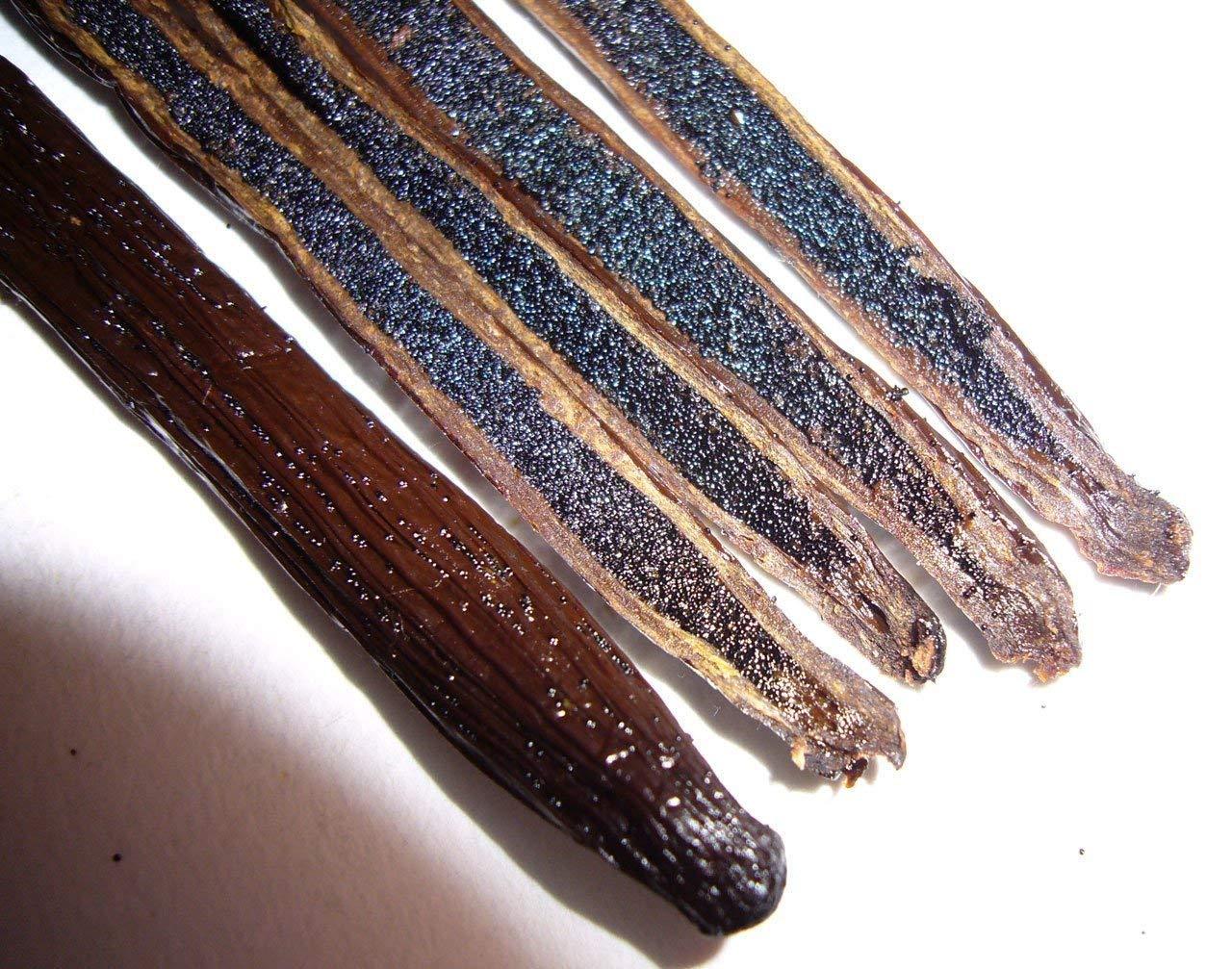 25 ORGANIC Madagascar Gourmet Vanilla Beans Grade A, Whole Beans for Baking