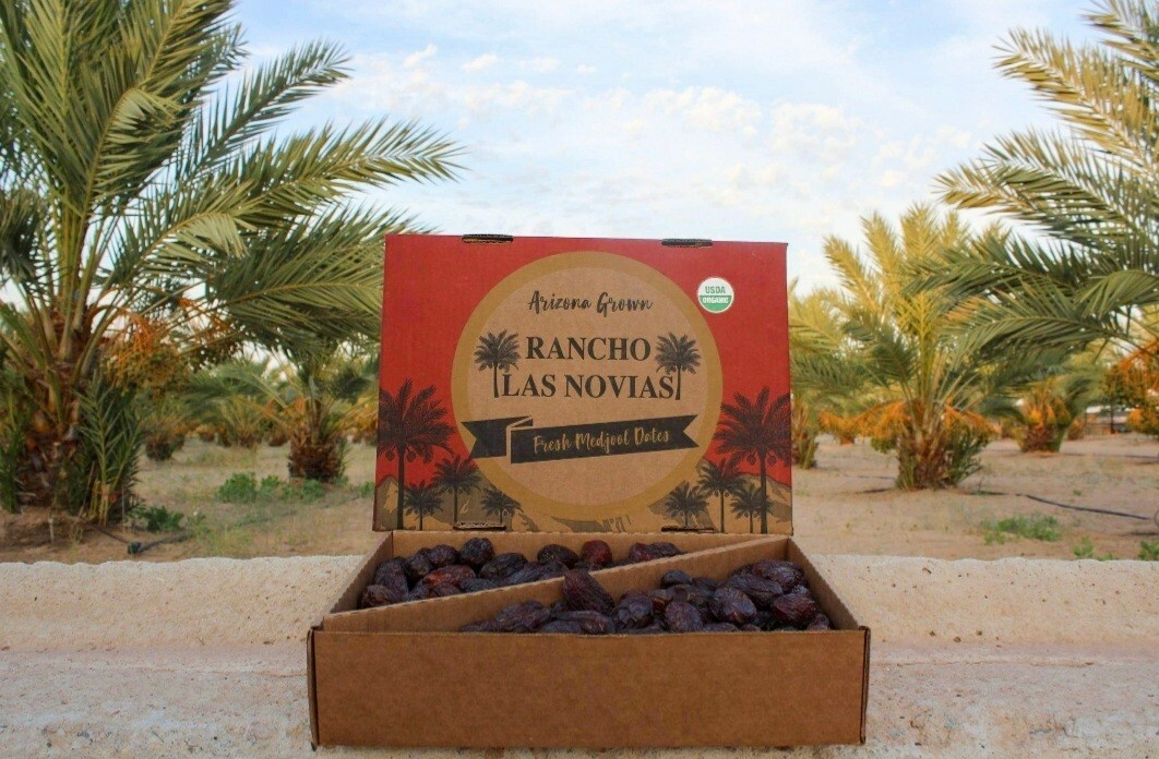 11LB LARGE PREMIUM ORGANIC MEDJOOL DATES ARIZONA’S GROWN.