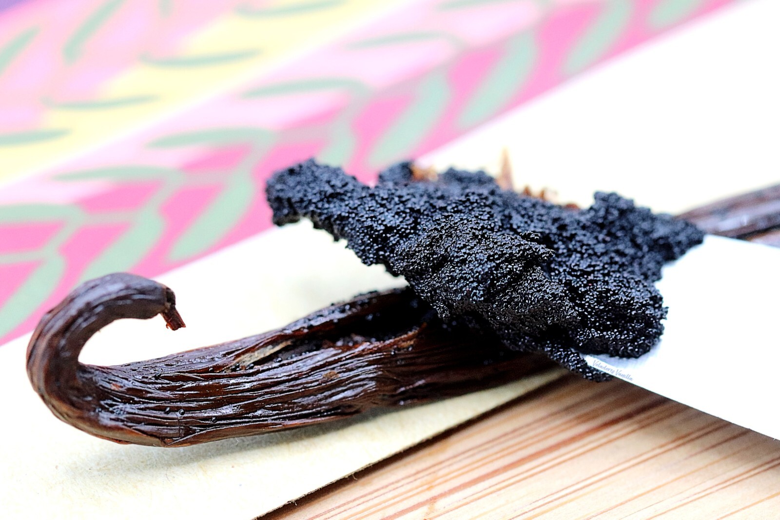Mexican Vanilla Beans – Grade A GOURMET grade (Planifolia) -Voladores Vanilla
