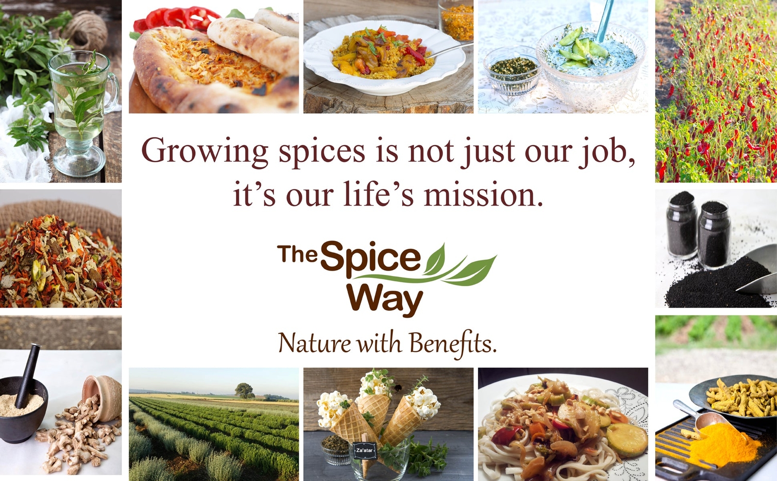 The Spice Way Shawarma Spice Blend