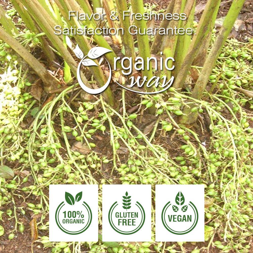 Organic Way Green Cardamom / Hari Elaichi Cut & Sifted – Kosher & USDA Certified