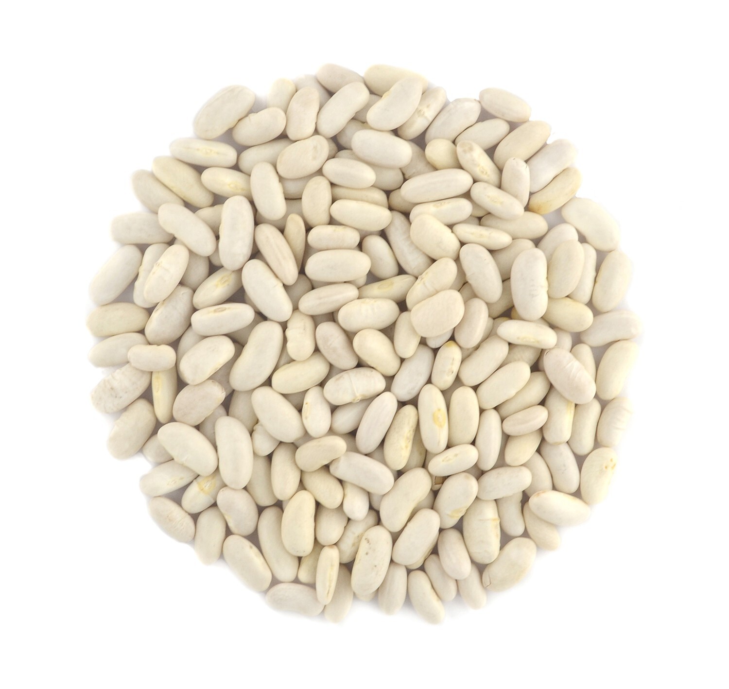 Baltoro Foods Organic Great Northern Beans ,Raw, non GMO, Vegan, Bulk