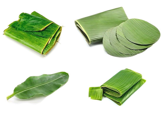 Have you ever dreamed to find a biodegradable and inexpensive takeaway package?