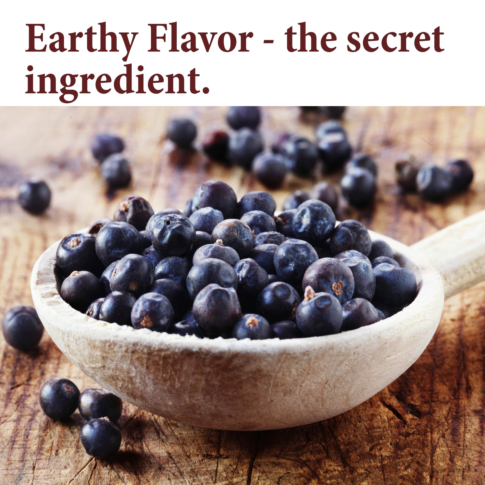 The Spice Way Juniper Berries – Whole