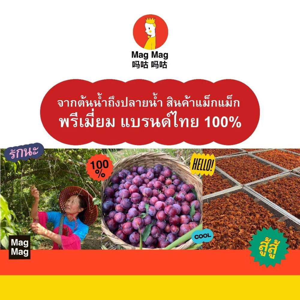 Preserved Dry Elixir Plum Chewy Sour Thai Fruit Soft Snack Mag Mag 186g x4