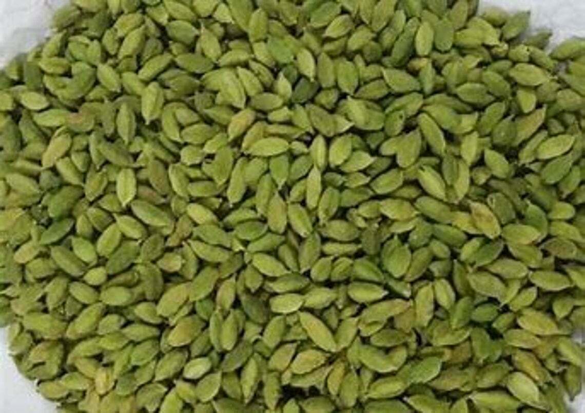 Organic Green Cardamom Pods (Choti Elaichi ) + free shipping