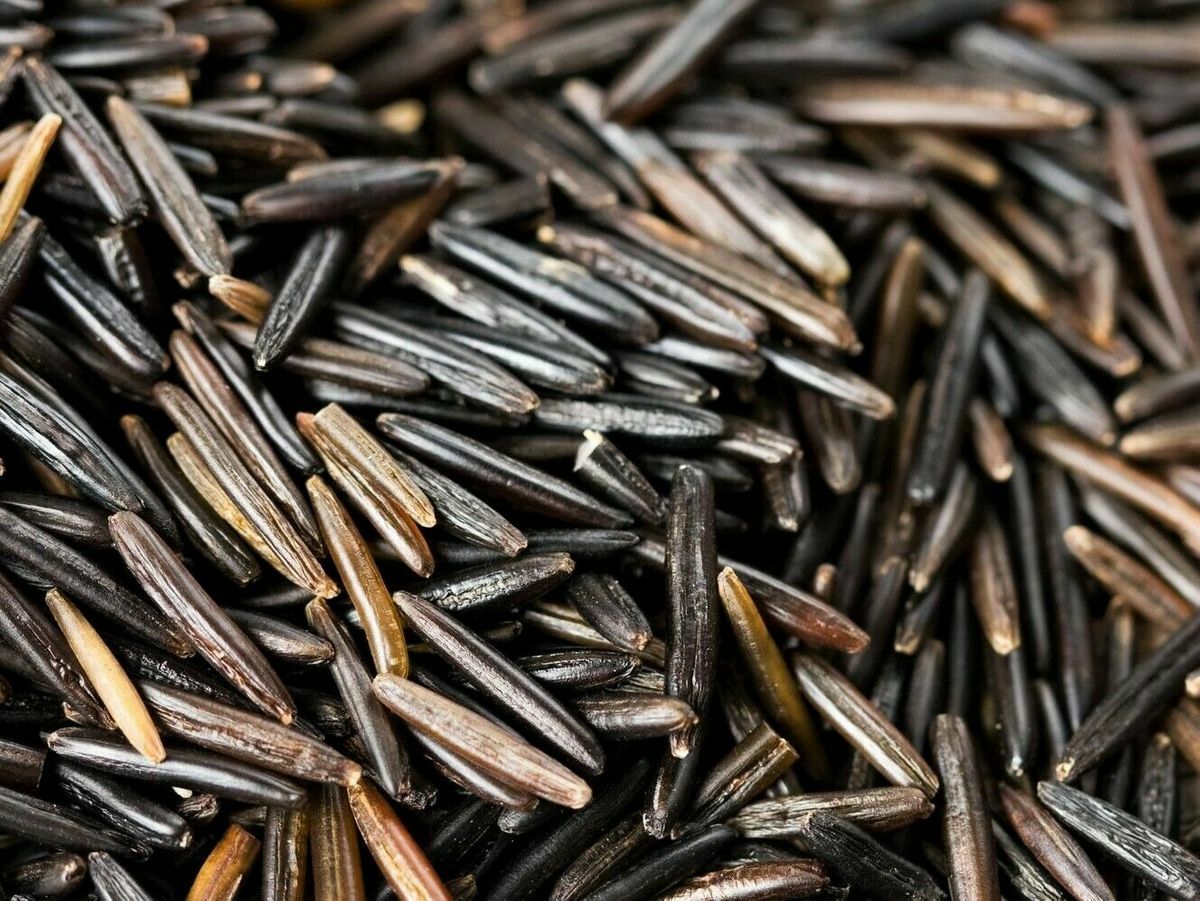 American Grown All-Natural Wild Rice Premium Long Rice