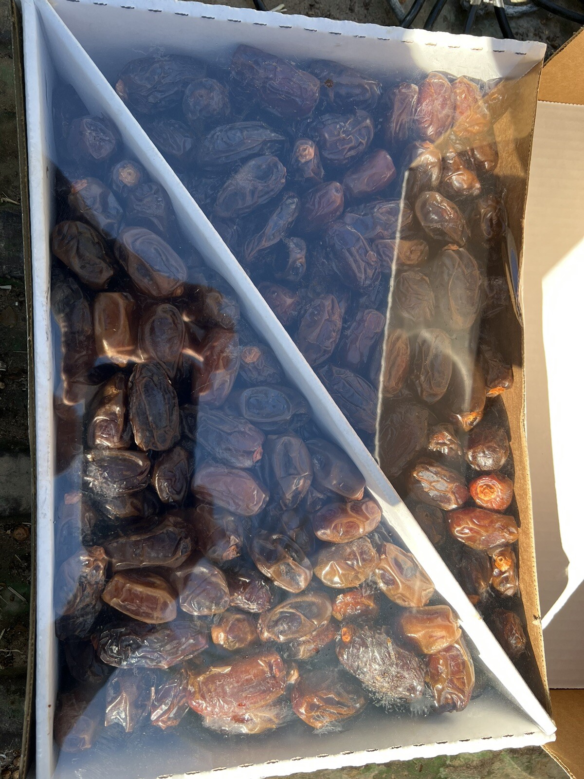 2x 11LB(22lb) MEDJOOL DATES. M/S SIZE. CALIFORNIA FRESH. FREE FAST SHIPPING.