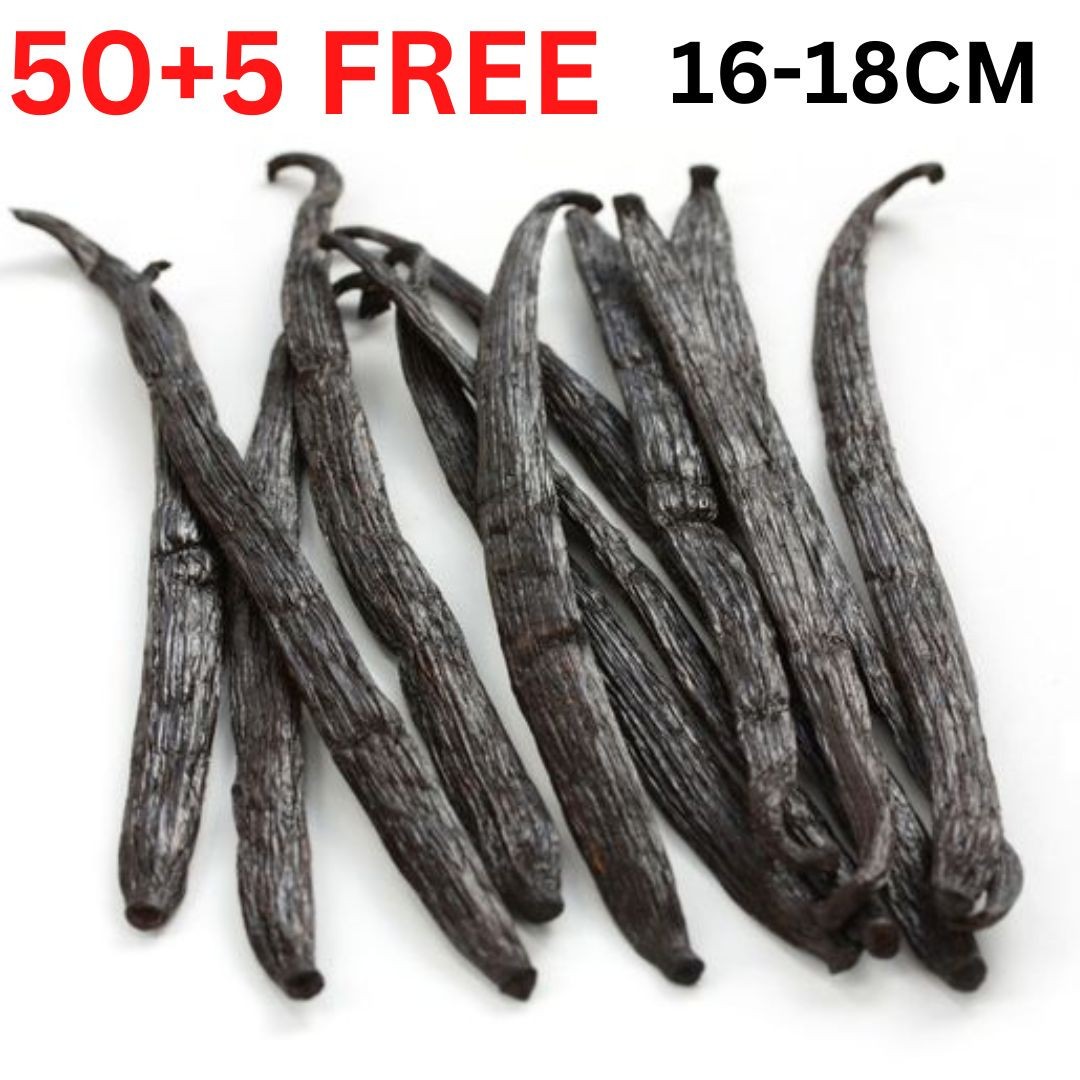 free 10% Grade A+ Madagascar Vanilla Beans Gourmet Premium Free Shipping bulk
