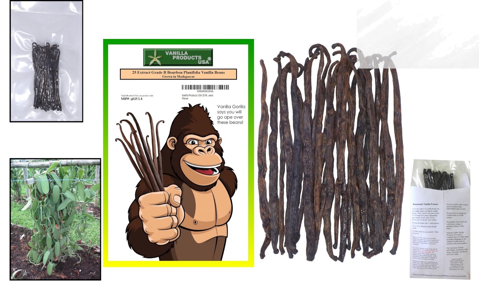 25 Whole Madagascar Bourbon Vanilla Beans – Ideal for Extract & Gourmet Cooking