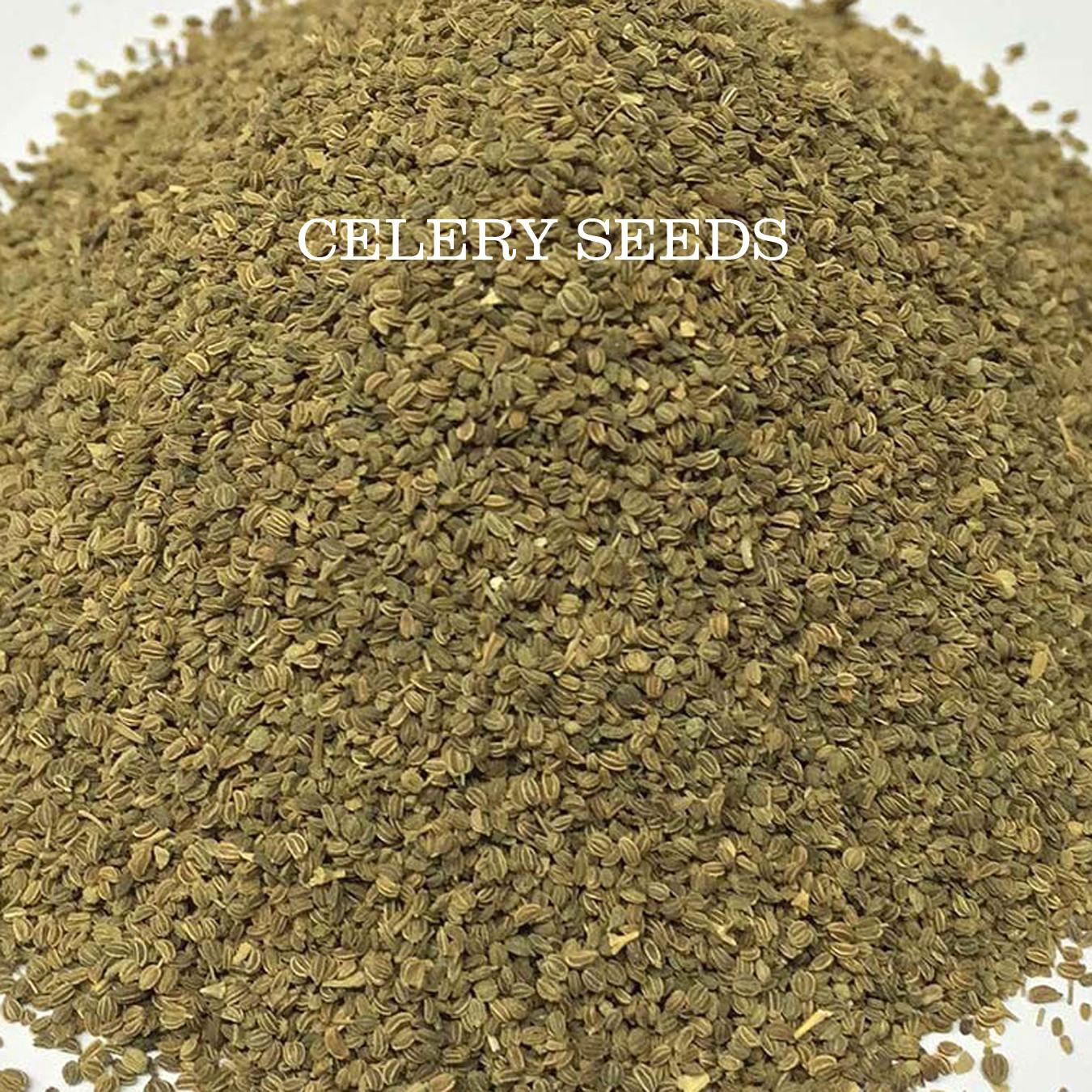 Organic Whole Celery Seeds Bulk Free Shipping Semillas de Apio