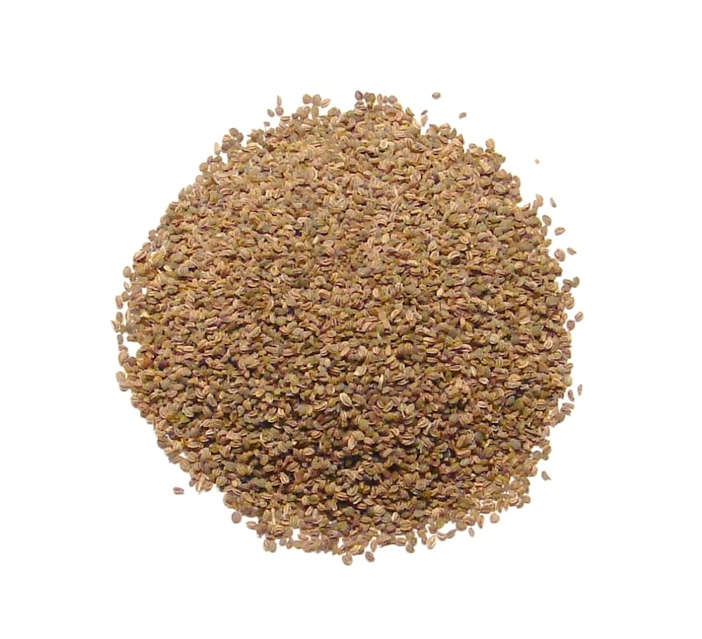 Celery Seeds, Whole – 3 Pounds – Bulk Celery Spice Essential Grilling Seasoning