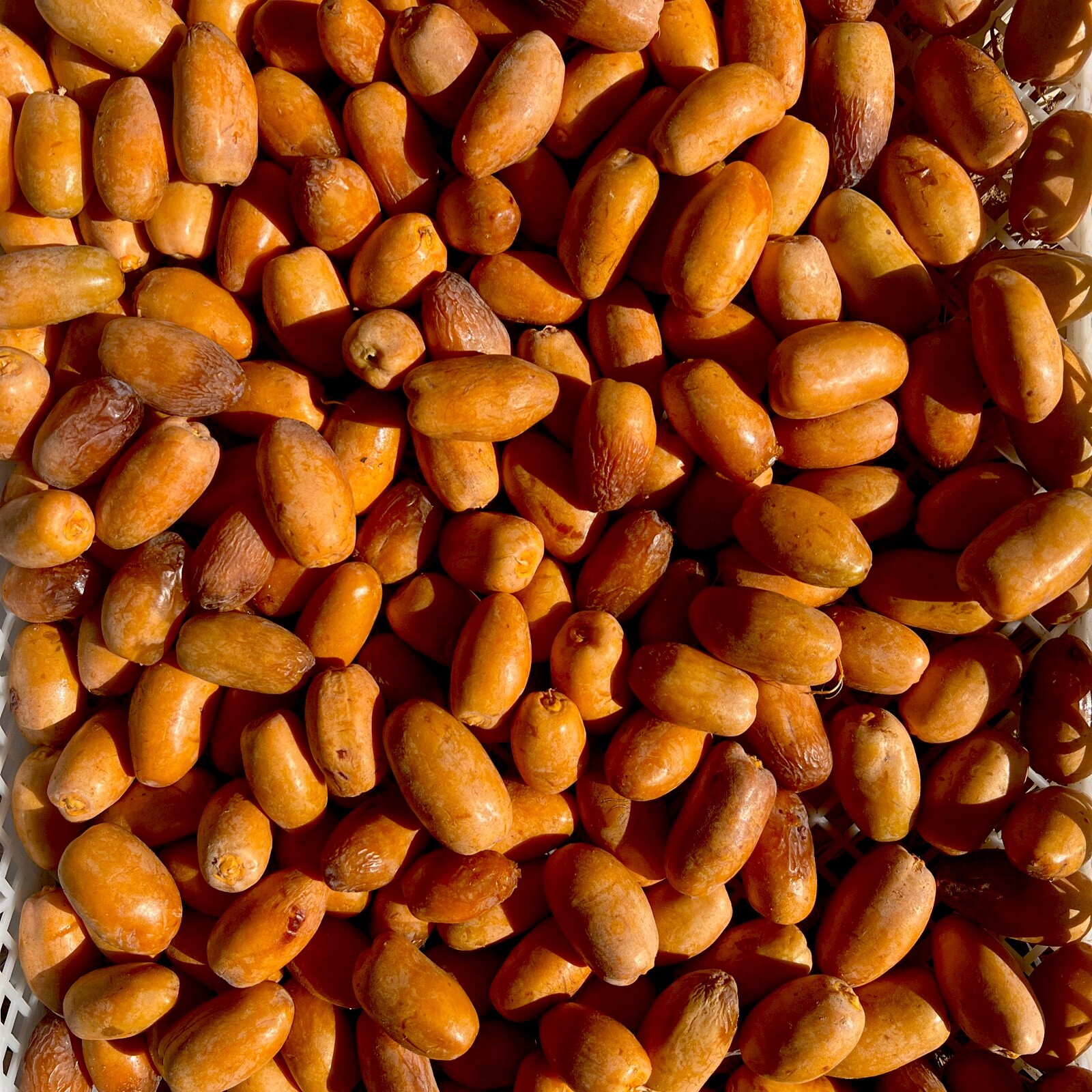8-LB YELLOW MEDJOOL DATES. FRESH CALIFORNIA. NOT TOO SWEET TASTE. IS NOT BARHI