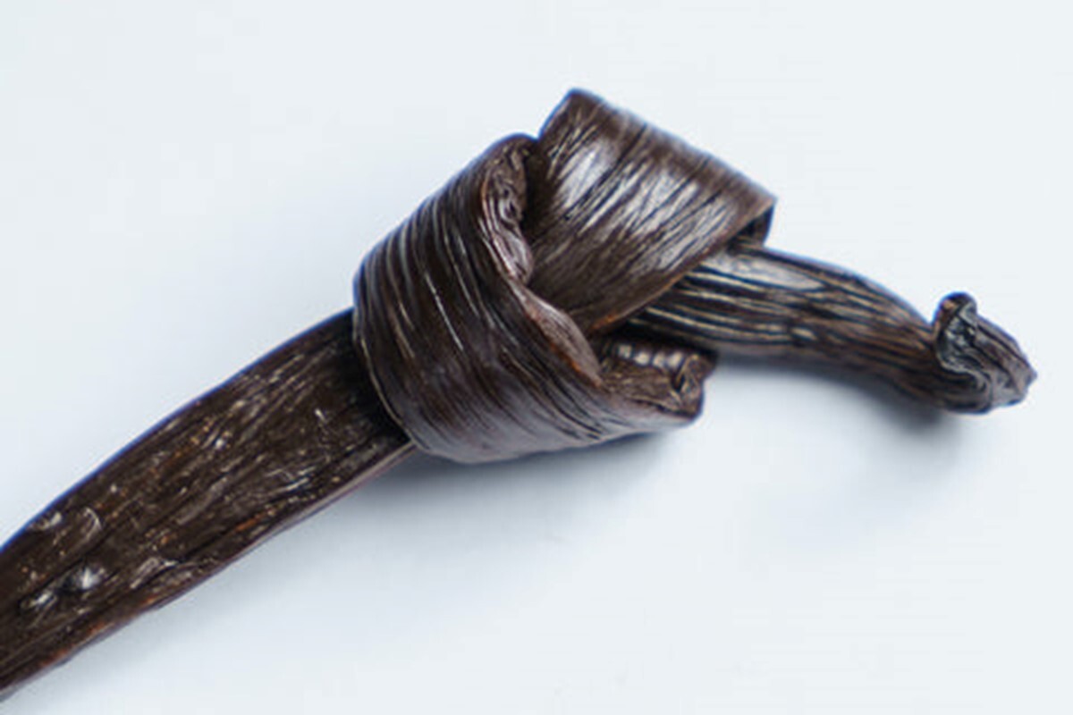 VANILLA BEANS BOURBON/PLANIFOLIA GRADE A, 16cm+ Gourmet Qty, 10 Beans, FREE SHIP