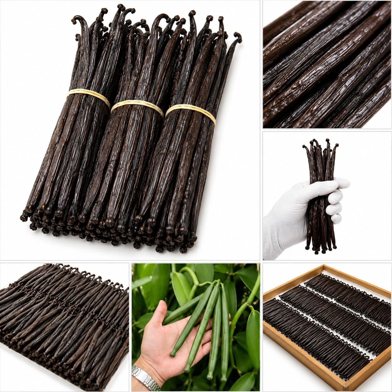 Sumatera Organic Vanilla Beans Grade A – 10 Pods, 7″ Long