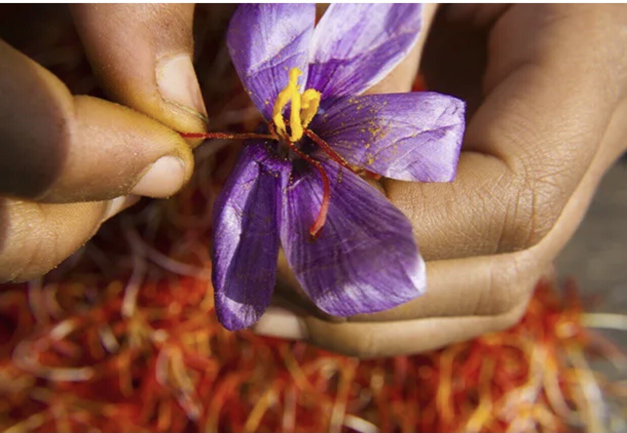 1 Gram Fresh Pure Organic Qaenat Saffron Zaffron (Pemium Quality) – Grade A!!