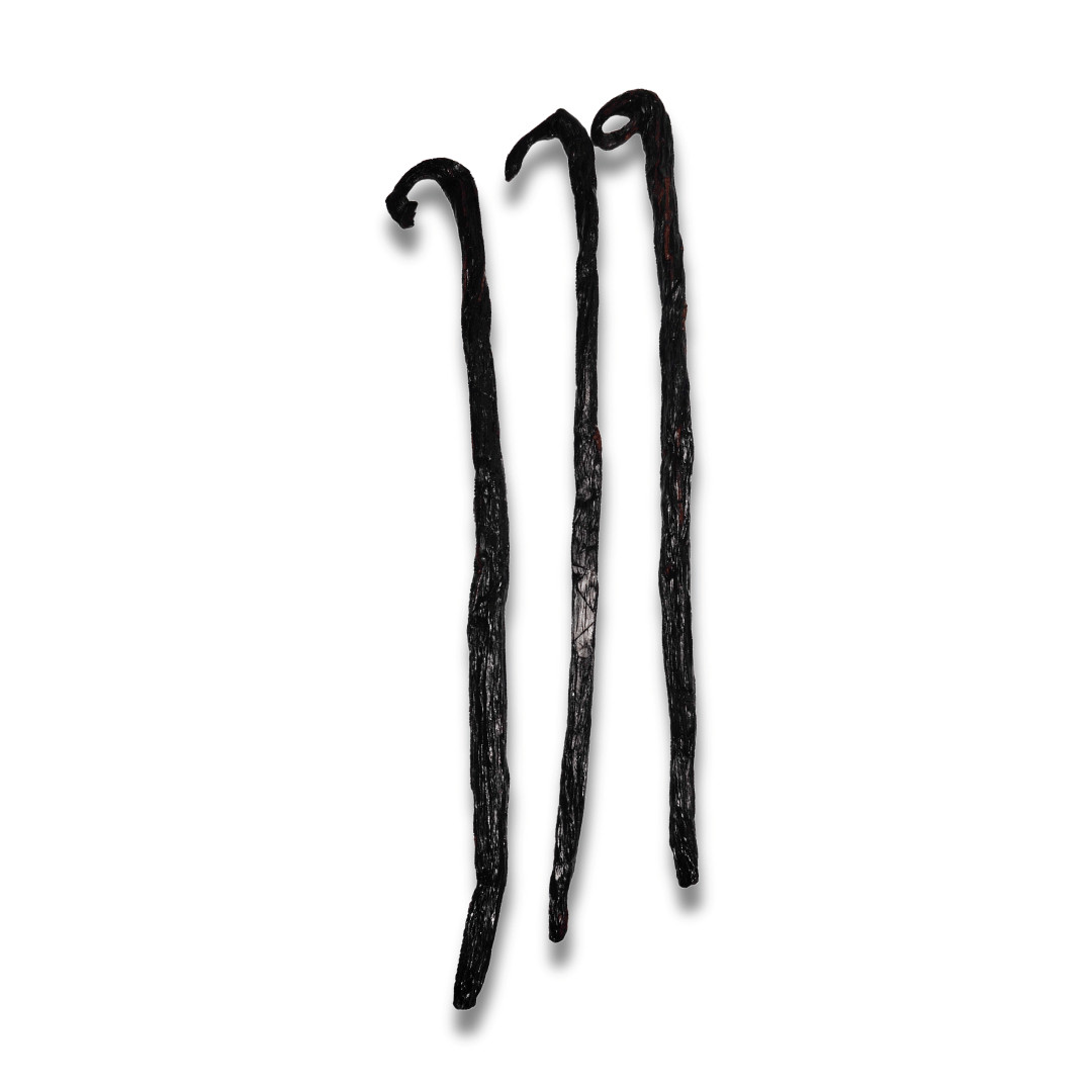 Pompona Vanilla Beans Mexican Cure Madagascar