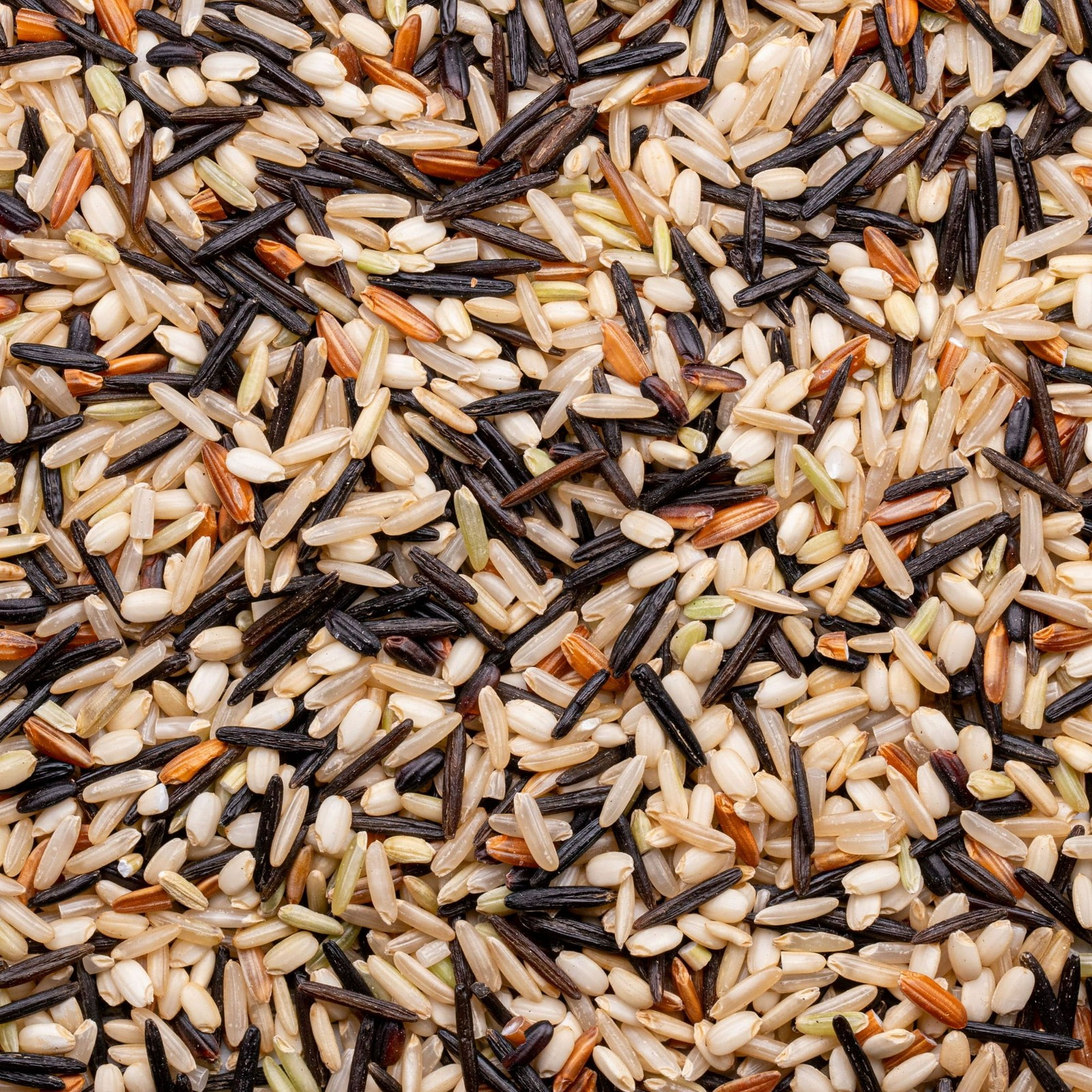 Lundberg Sustainable Wild Blend Rice – Gluten Free, Vegan, 1lb Resealable Bag…