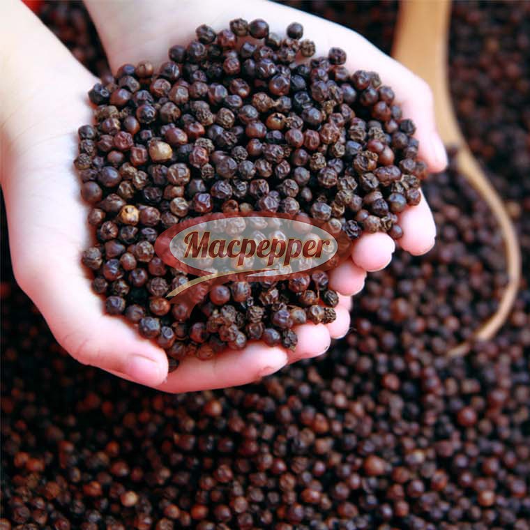 MACPEPPER Vietnamese Specialty Premium Whole Black Peppercorns,10 Oz(283g)