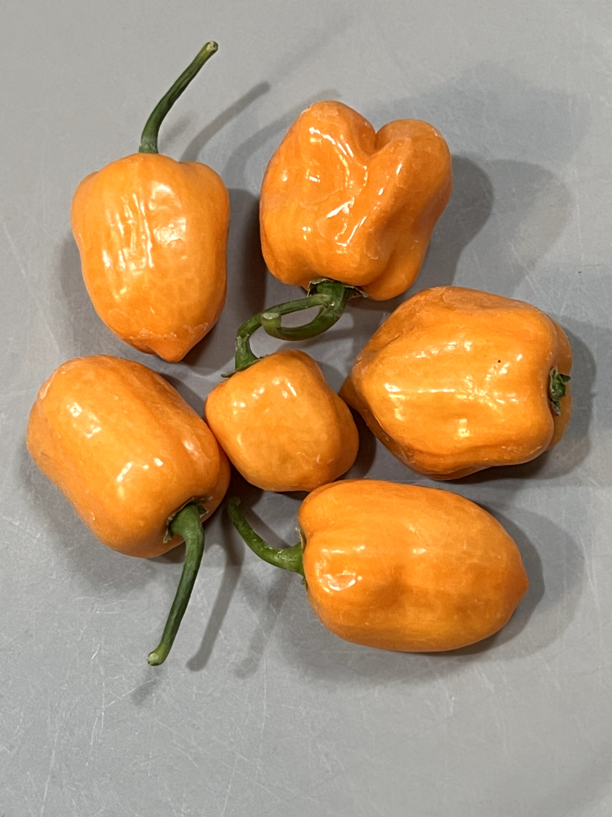 Dried Dehydrated Hot Peppers – Home Grown – Organic – Free Shipping