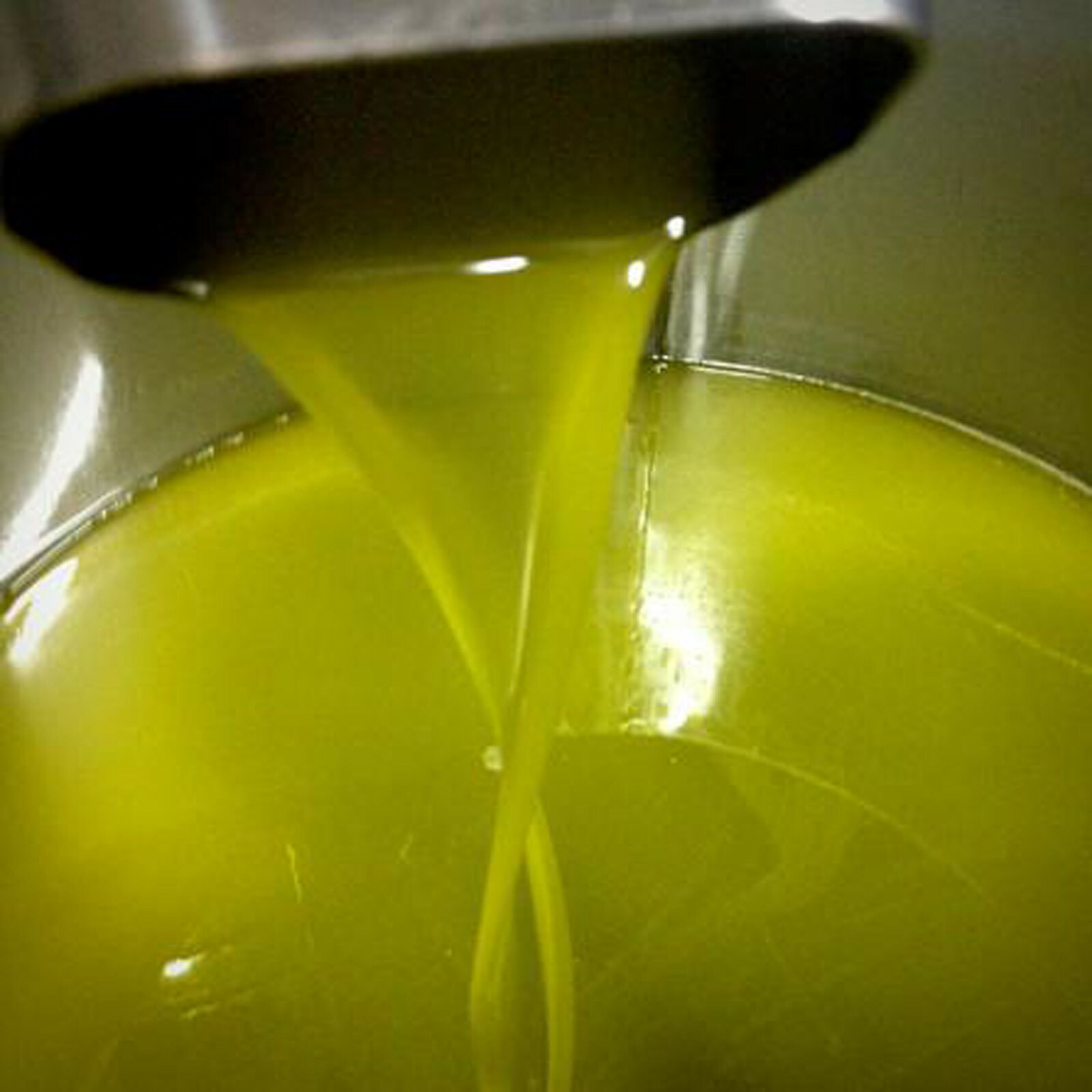 ORGANIC, UNFILTERED, RAW EXTRA VIRGIN OLIVE OIL .