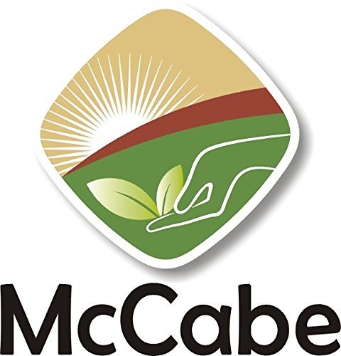 McCabe ORGANIC Brown Lentils, 1-Pound, USDA Organic Certified
