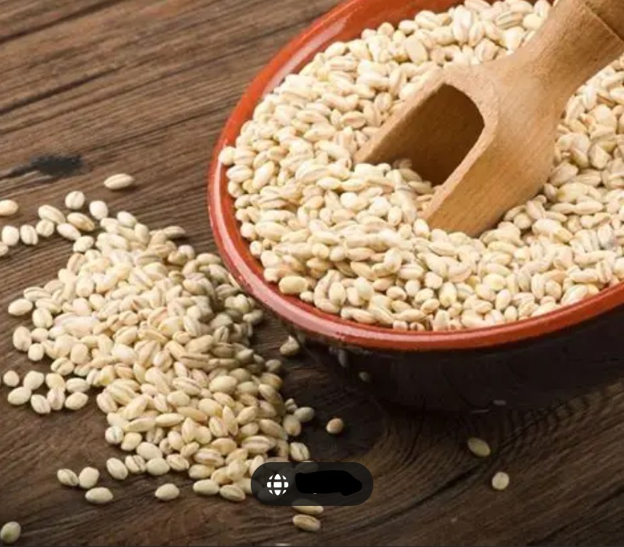 PEARL BARLEY Whole Grain USA Grown Non-GMO Vegan – Soup, Salad, Bread, Beer etc