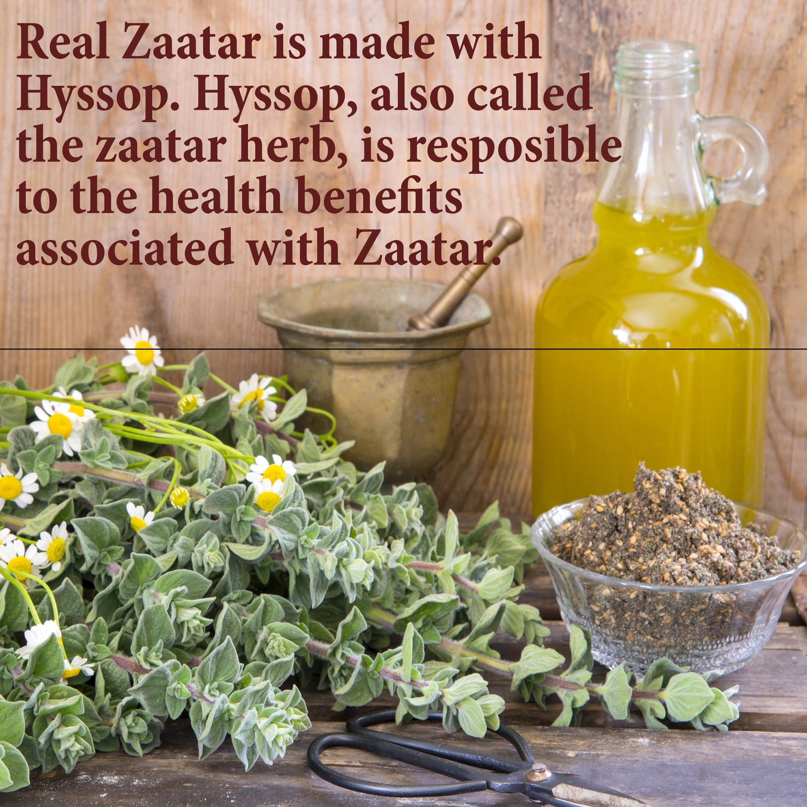 The Spice Way Traditional Lebanese Zaatar