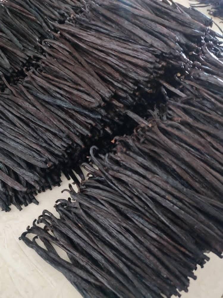 Sumatera Organic Vanilla Beans Grade A – 10 Pods, 7″ Long