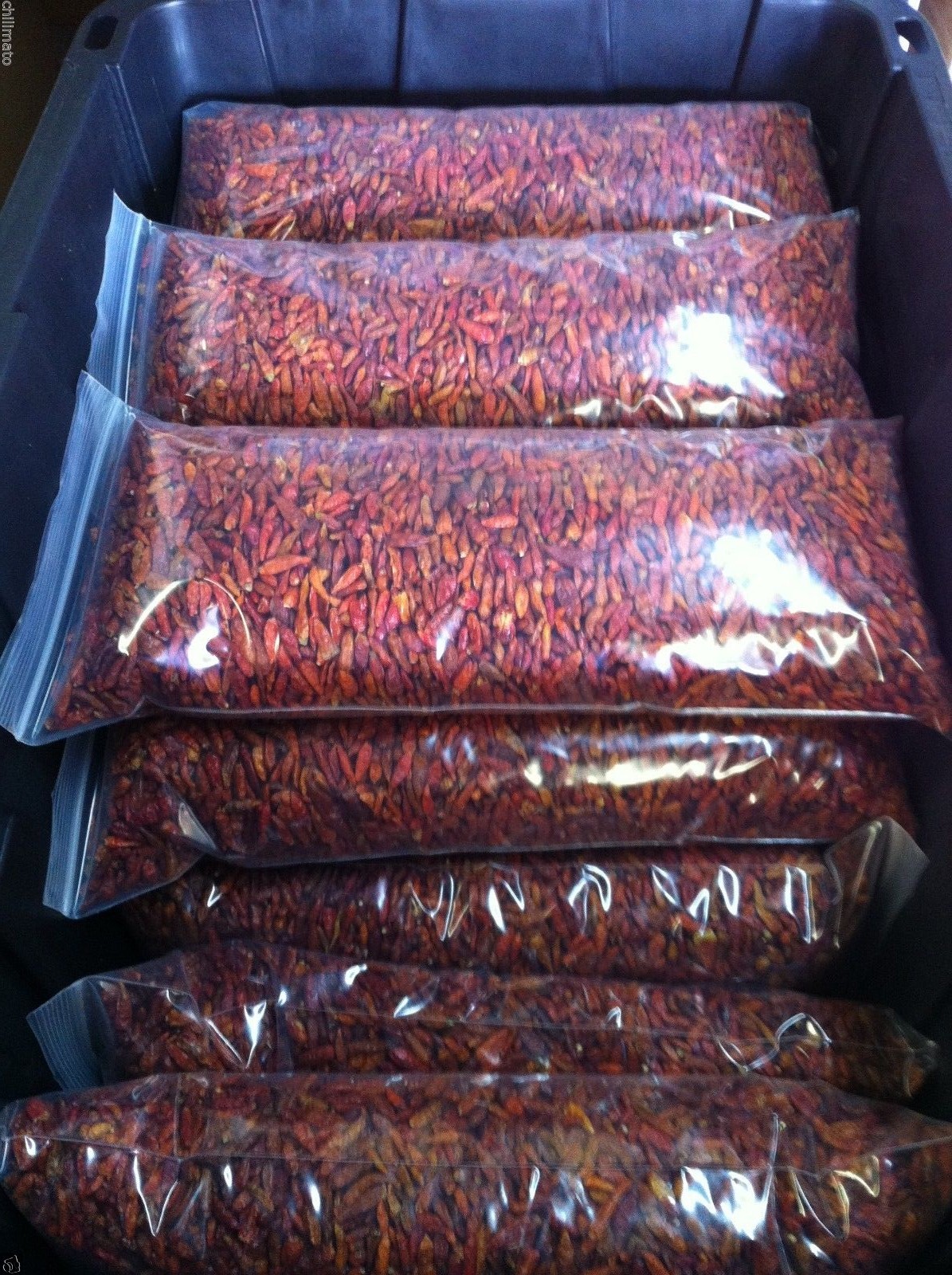 African Bird’s Eye Pepper Whole Pods | Piri Piri Chili Pepper (Size variations)