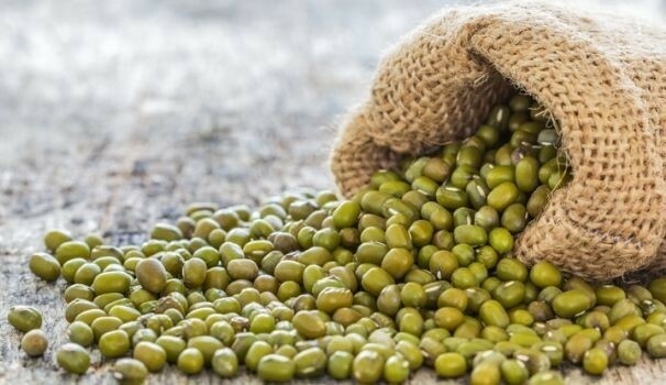 Organic Whole dried MUNG Beans ‘Green Gram’ ‘Moong’ Prewashed Clean non GMO