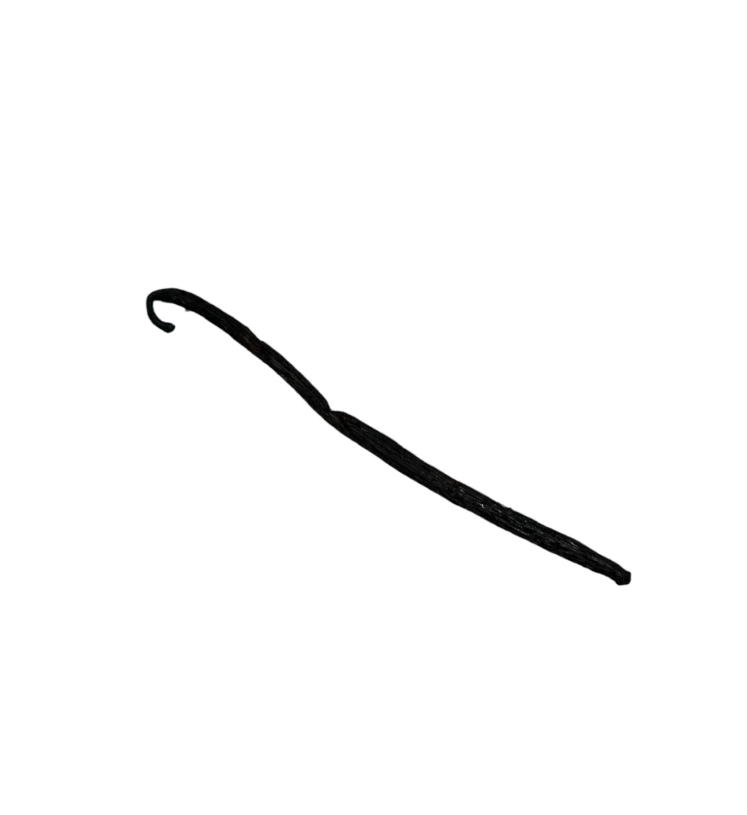 Bourbon Madagascar Vanilla Whole Beans 17-18cm | 3-28 Beans(10-85grams)
