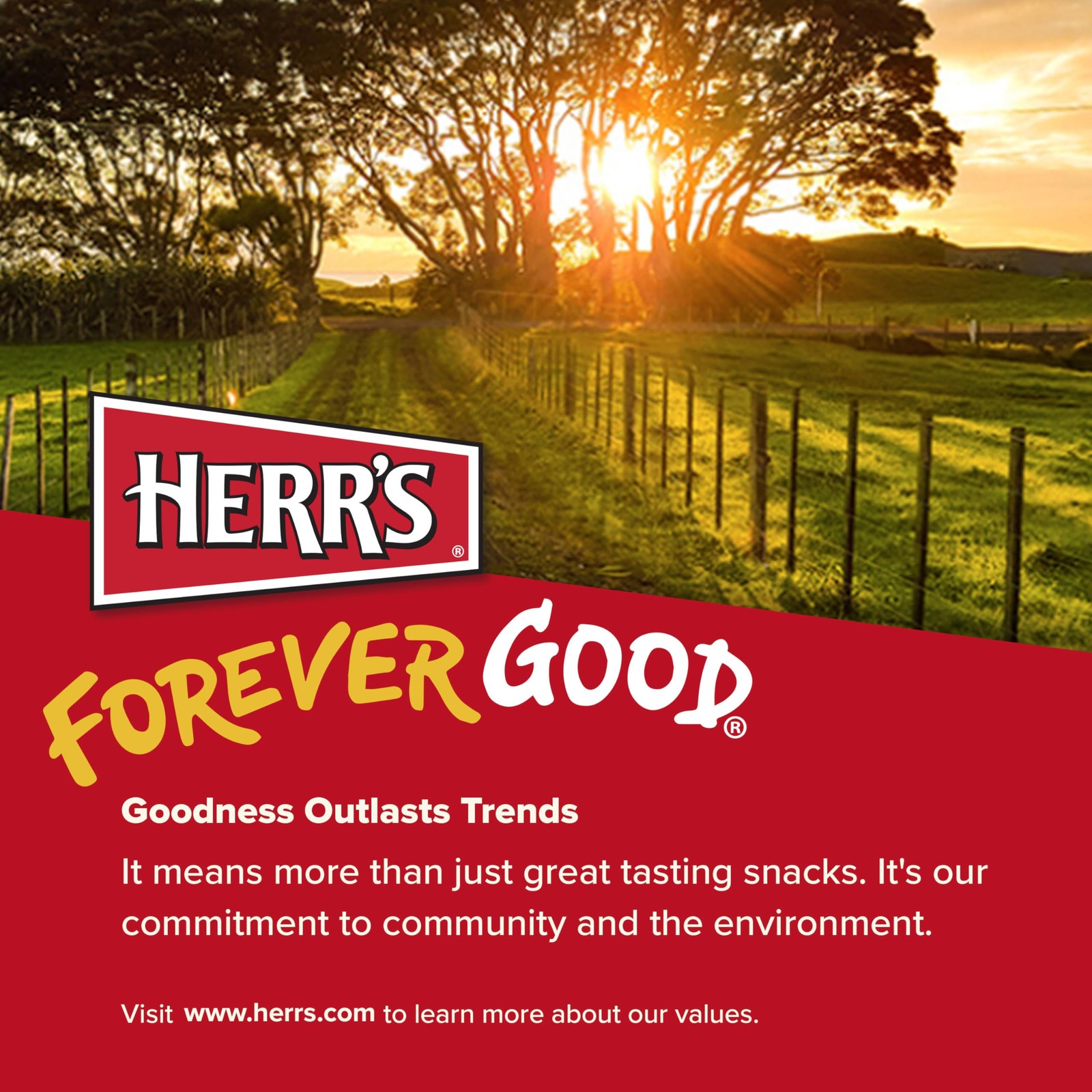 Herr’s Potato Chips, Horseradish and Cheddar Flavor, Gluten Free Snacks, 6oz Bag