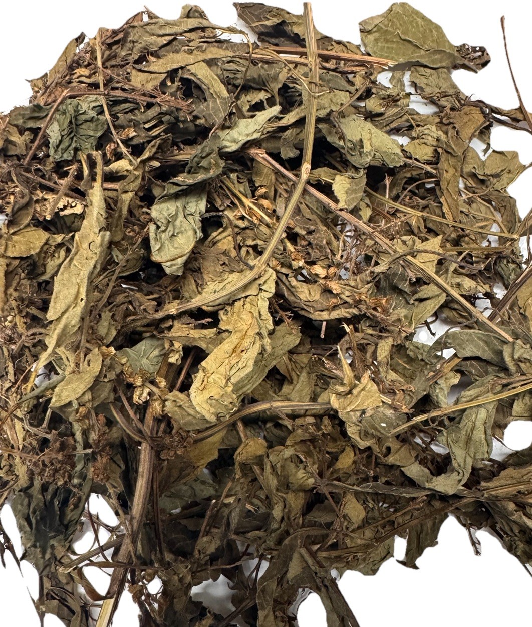 Dried Scent Leaves, African Basil, Ewe Efinrin, Ocimum Gratissimum Leaf