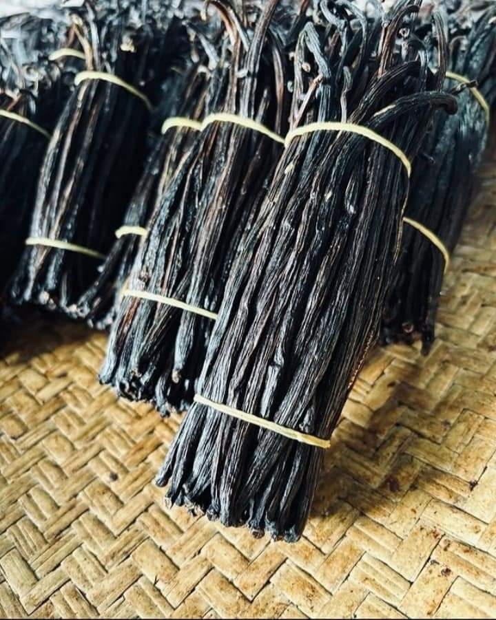 Sumatera Organic Vanilla Beans Grade A – 10 Pods, 7″ Long