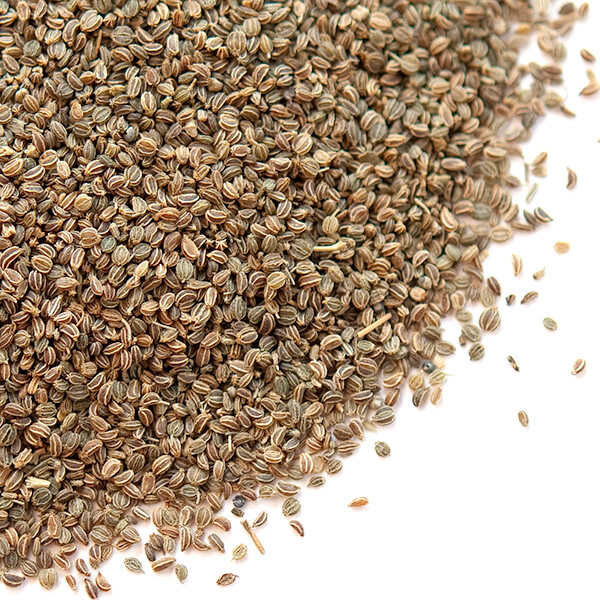 Celery Seed | Bulk | Spice Jungle