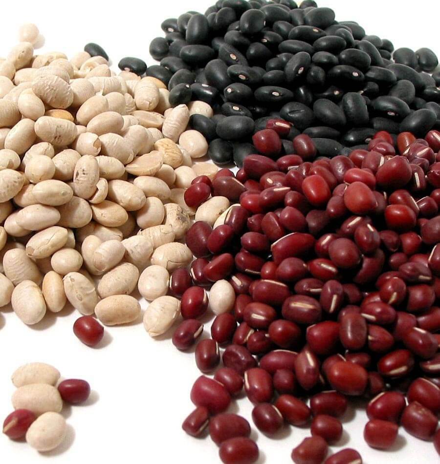 Bulk Dried Beans 5 lb. Bag (select variety from drop down)