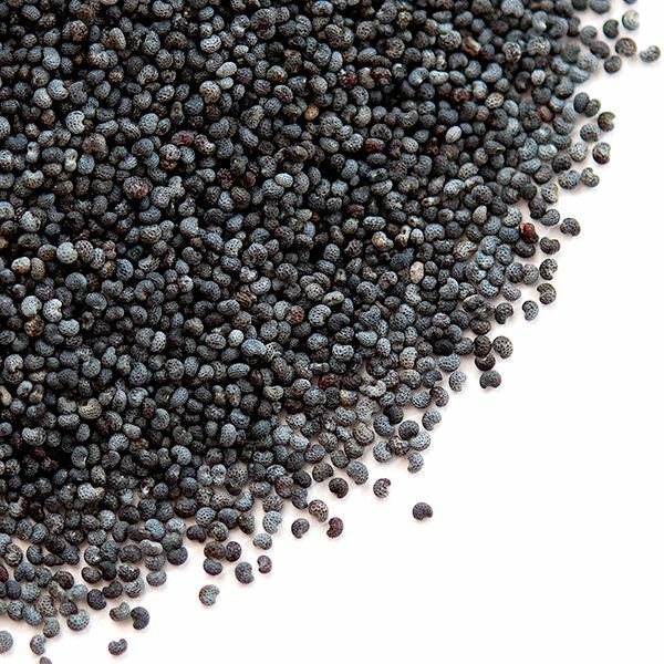 1LB 1 Pound Premium Finest Poppy Seeds Original Fresh Harvest