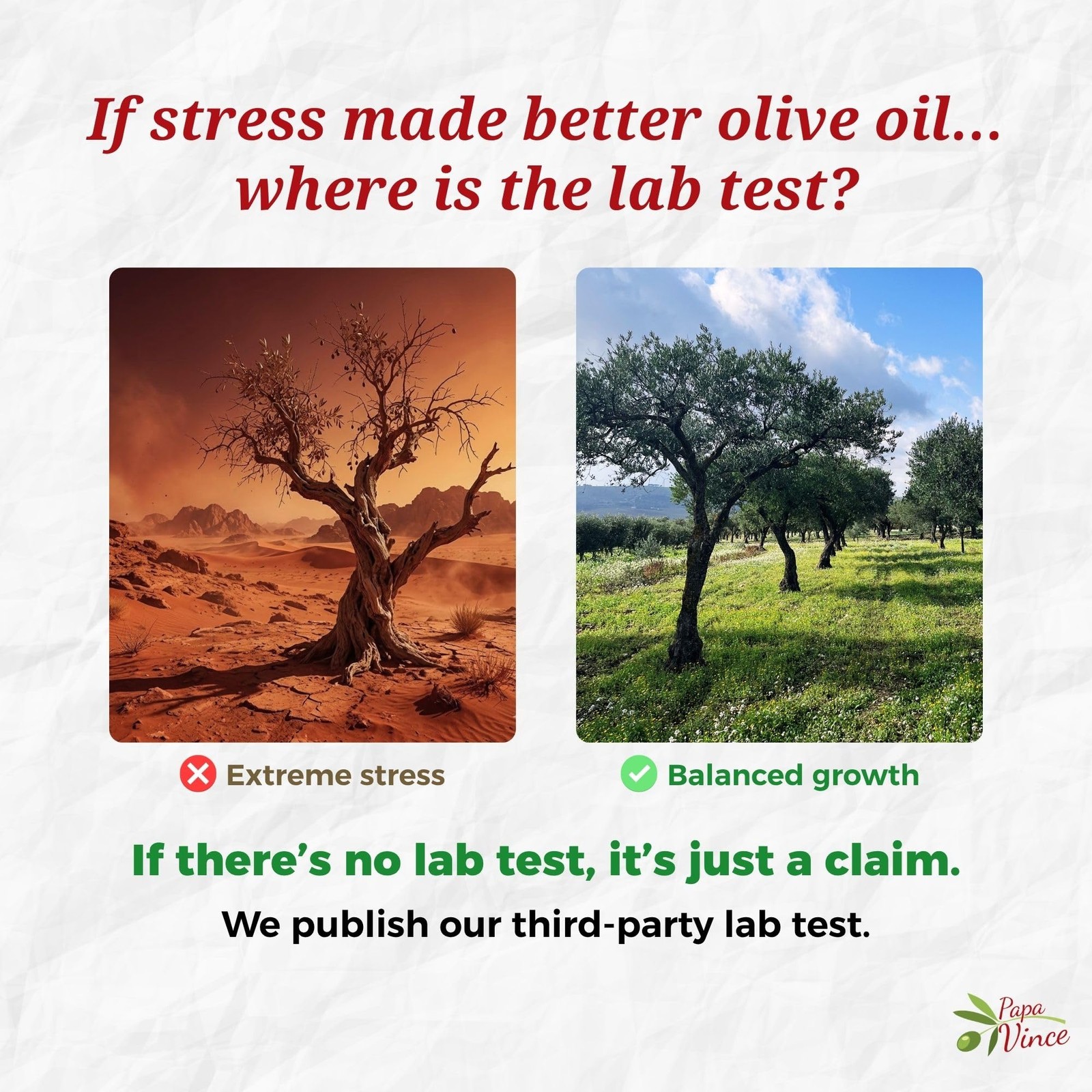 Papa Vince Hydroxytyrosol Lab-Verified Olive Oil – Drinking EVOO, Fresh Taste…