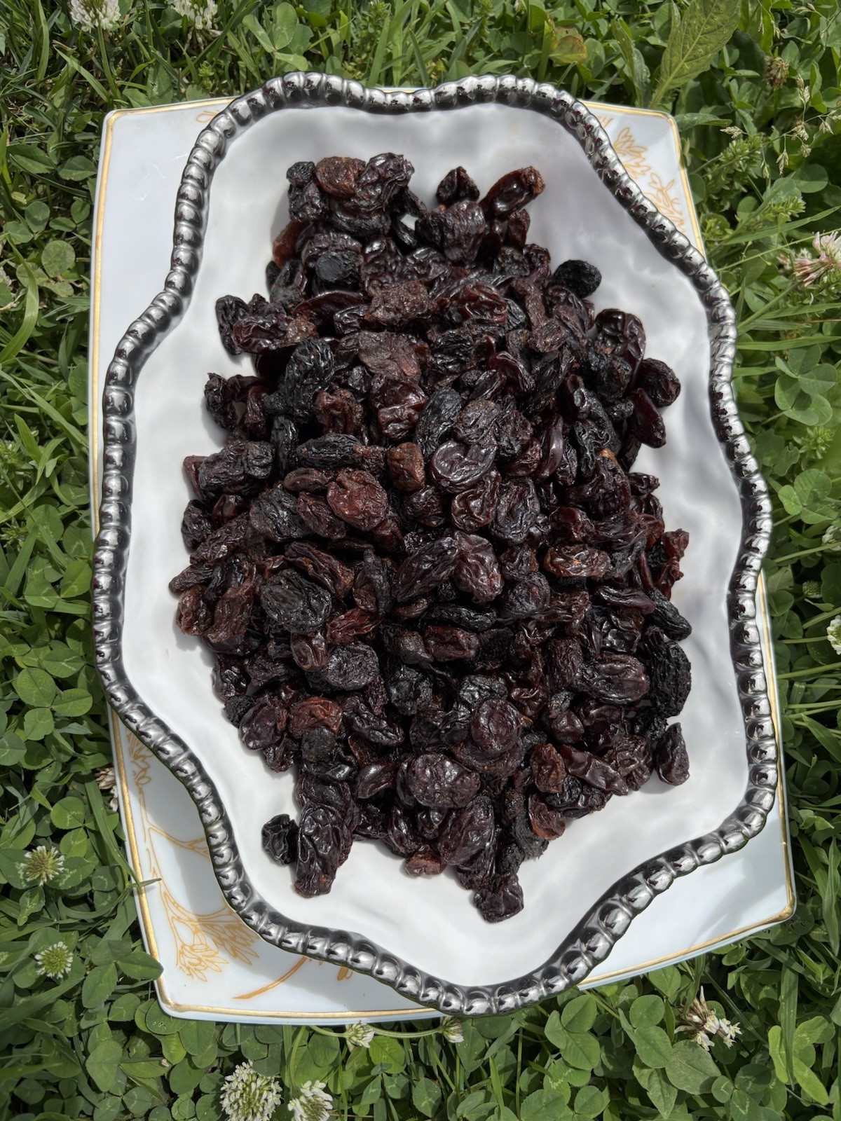Jumbo Black Raisins Fresh Resealable Bag 11oz. to 40 lbs.by AgroSunQuality
