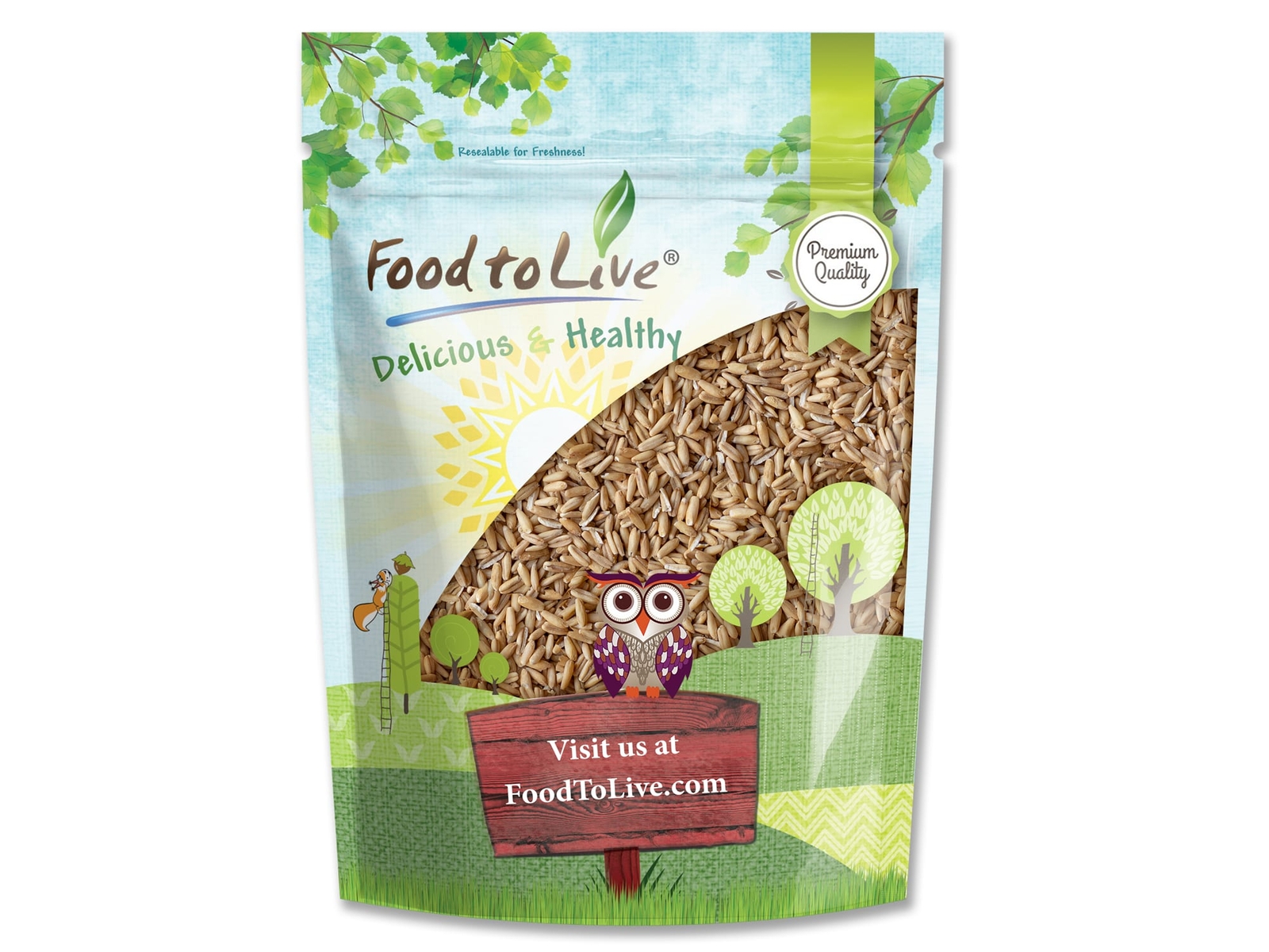 Whole Grain Oat Groats – Oat Berries in Bulk. Kosher, Vegan Hulled Kernels