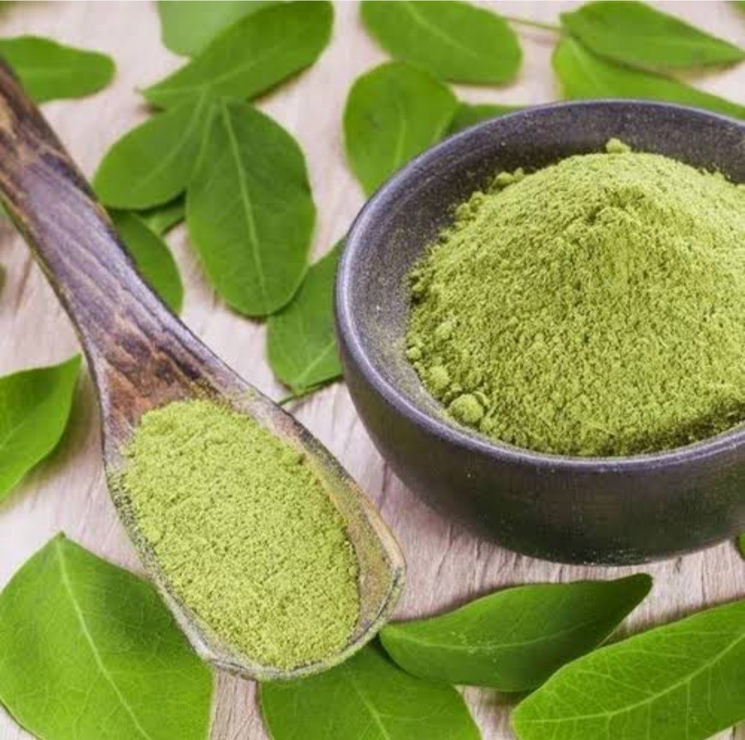 Organic Pure Moringa Oleifera Leaf Powder Fresh Premium apothecary Moringa leaf