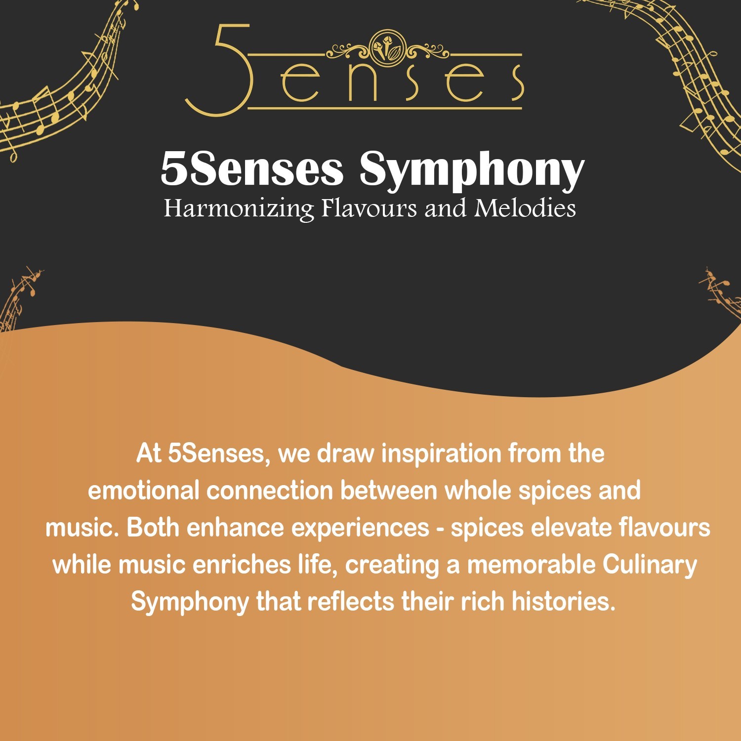5Senses Wild Cinnamon Bark | Canela | Single Origin Non-GMO, Fairtrade