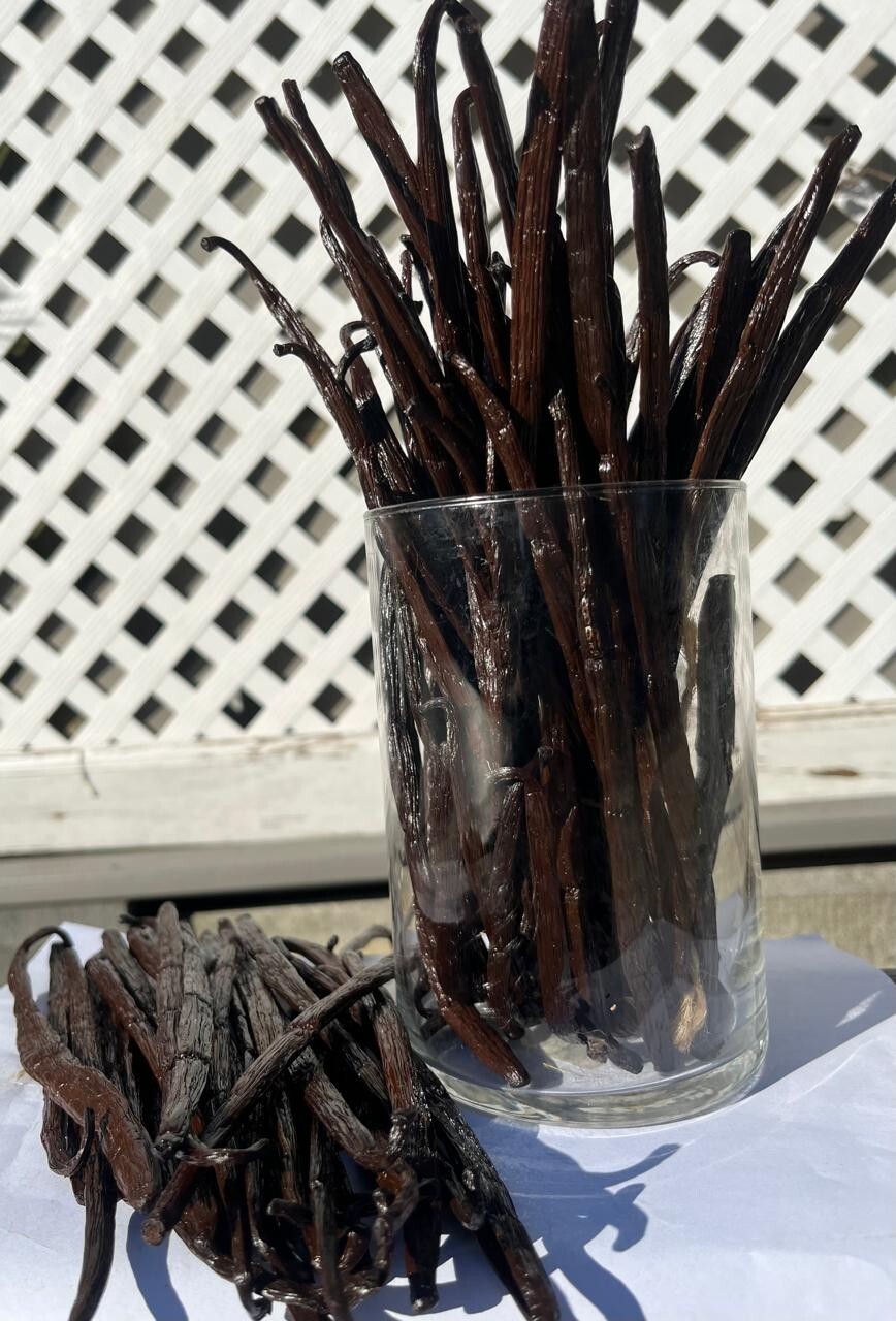 Madagascar Grade A Bourbon Organic Vanilla Beans [7-9 inches]