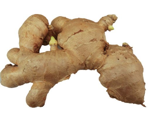 NEW Fresh WILD None GMO Ginger Root – 1lb