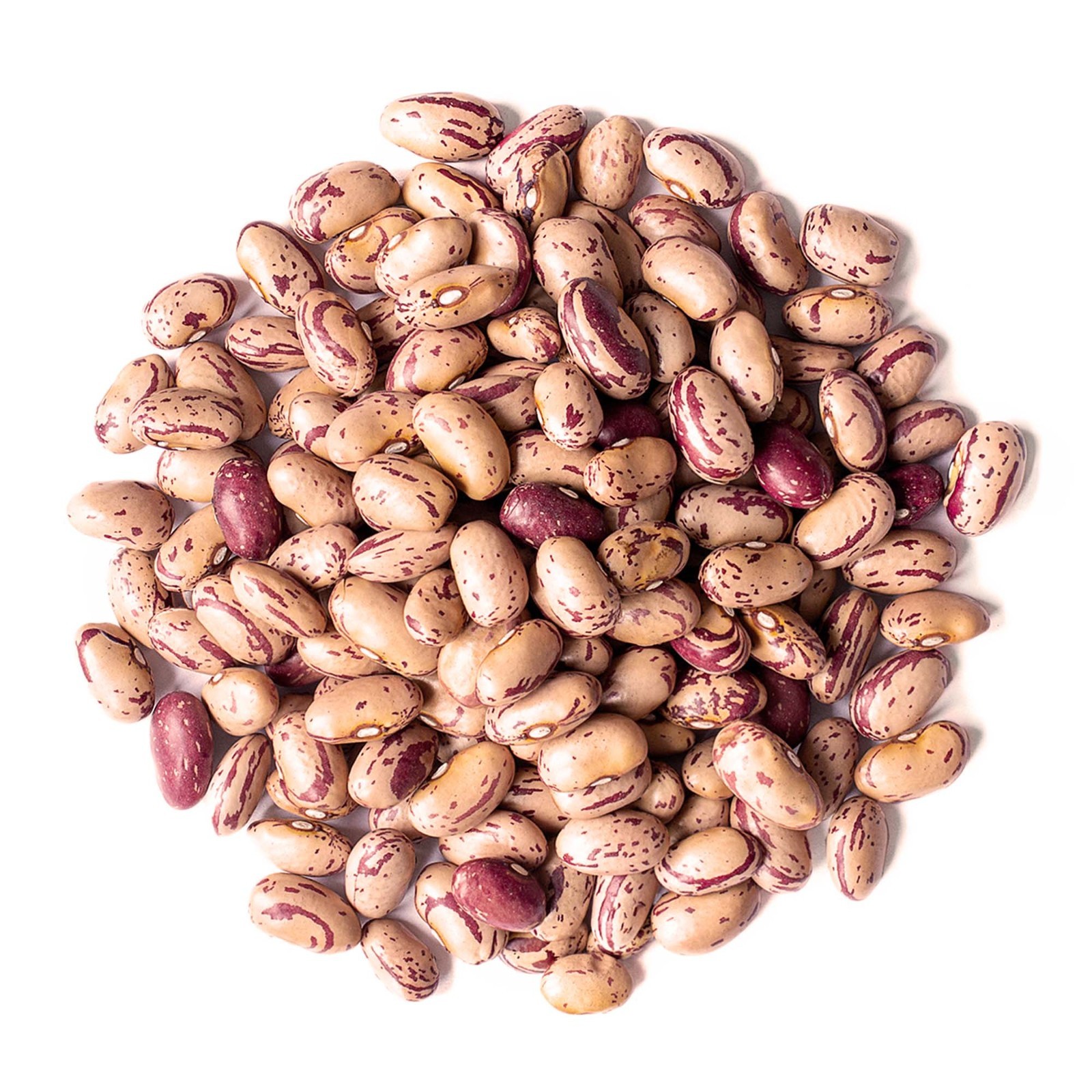 Del Colle Piemonte Cranberry Beans, 11 LBS (5 kg) – Sproutable, Vegan, Kosher