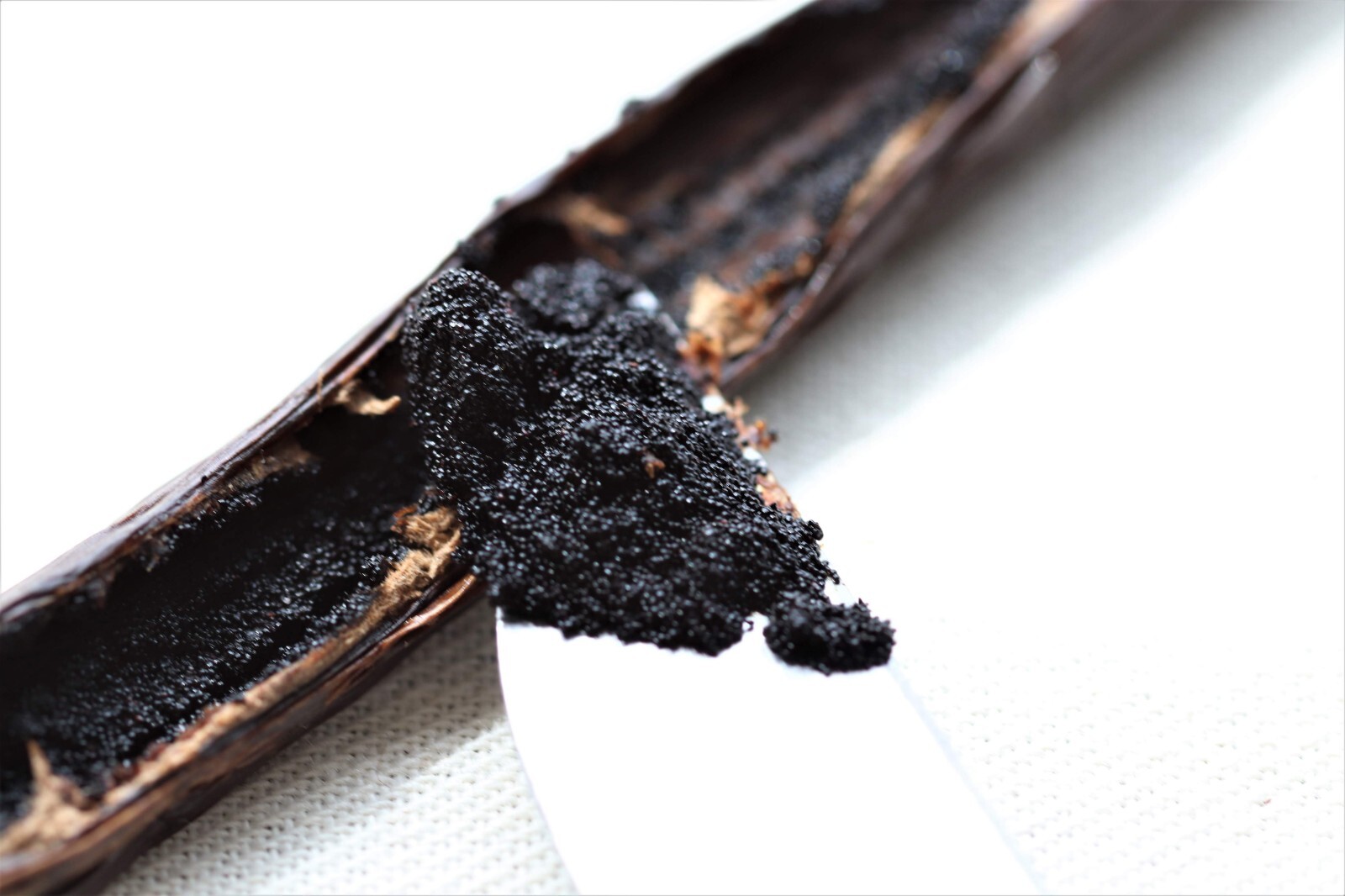 Mexican Vanilla Beans – Grade A GOURMET grade (Planifolia) -Voladores Vanilla