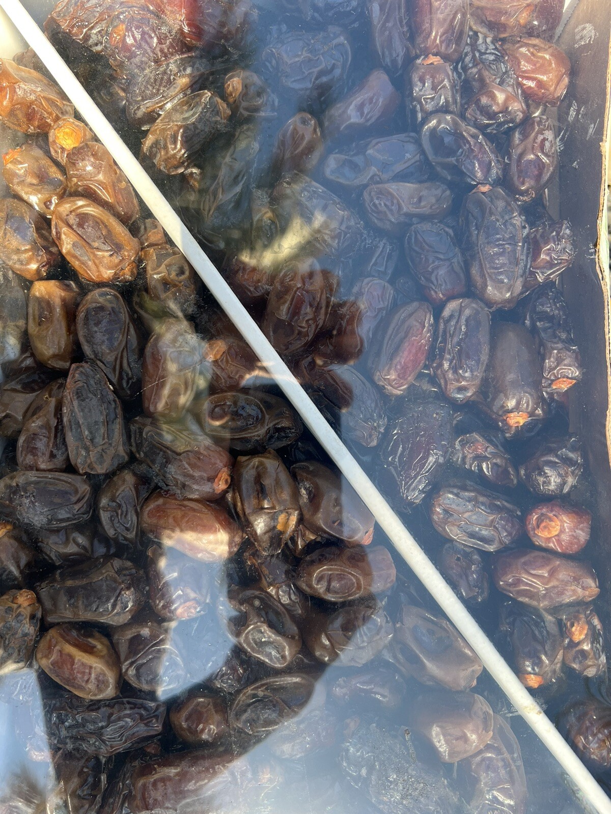 2x 11LB(22lb) MEDJOOL DATES. M/S SIZE. CALIFORNIA FRESH. FREE FAST SHIPPING.