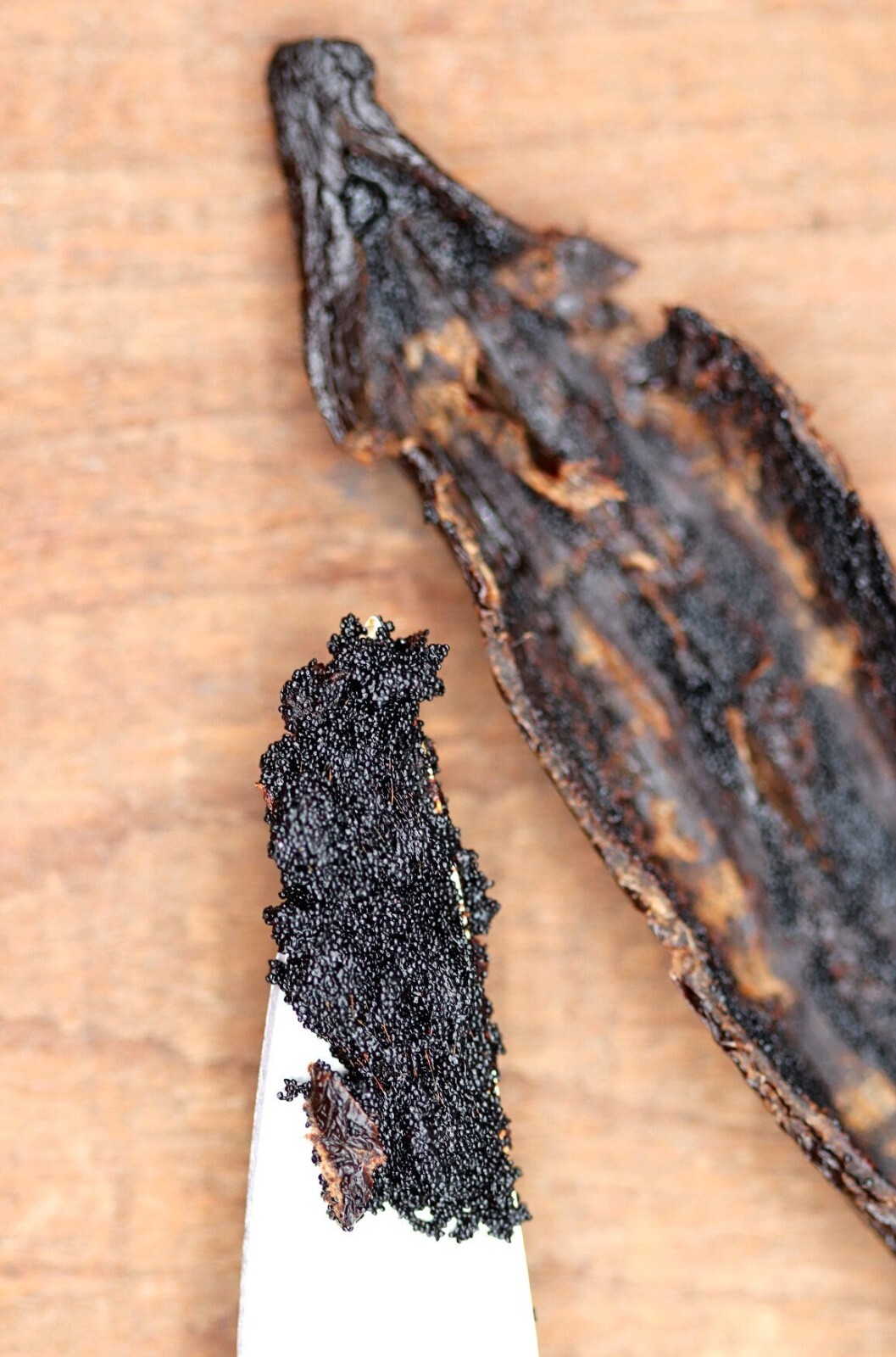 Mexican Vanilla POMPONA Beans -GRADE A- Voladores Vanilla – Veracruz