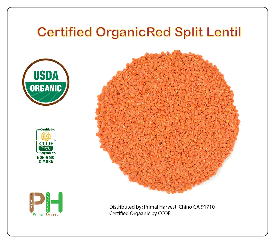 Organic Red Split Lentils aka Masoor Dal non-GMO Bulk rich in Iron and Protein